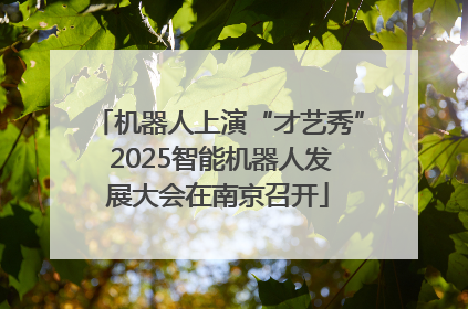 机器人上演“才艺秀” 2025智能机器人发展大会在南京召开