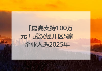 最高支持100万元！武汉经开区5家企业入选2025年度武汉市重点研发计划拟立项项目名单