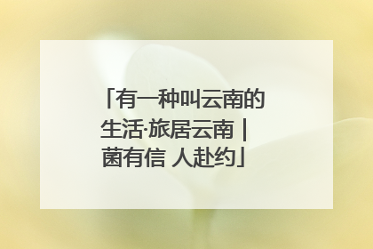 有一种叫云南的生活·旅居云南｜菌有信 人赴约