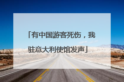 有中国游客死伤，我驻意大利使馆发声
