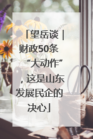 望岳谈｜财政50条“大动作”，这是山东发展民企的决心