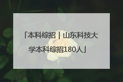 本科综招｜山东科技大学本科综招180人
