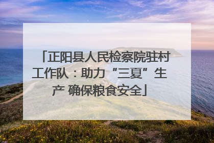 正阳县人民检察院驻村工作队：助力“三夏”生产 确保粮食安全