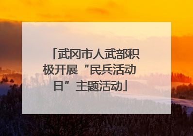 武冈市人武部积极开展“民兵活动日”主题活动