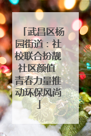 武昌区杨园街道：社校联合扮靓社区颜值 青春力量推动环保风尚