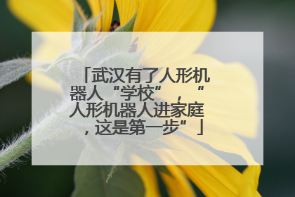 武汉有了人形机器人“学校”，“人形机器人进家庭，这是第一步”