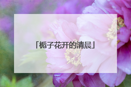 栀子花开的清晨