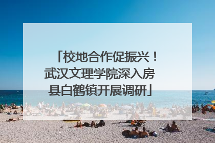 校地合作促振兴！武汉文理学院深入房县白鹤镇开展调研