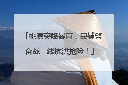 桃源突降暴雨，民辅警奋战一线抗洪抢险！