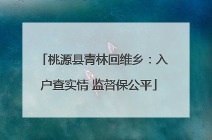 桃源县青林回维乡：入户查实情 监督保公平