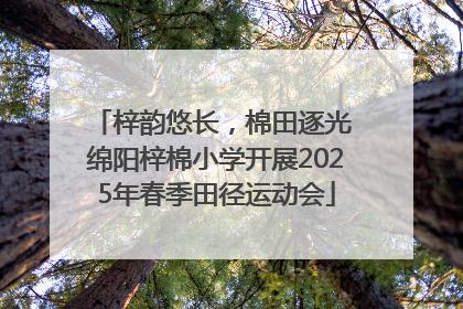 梓韵悠长，棉田逐光 绵阳梓棉小学开展2025年春季田径运动会