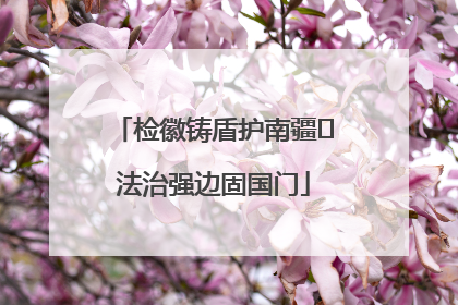检徽铸盾护南疆 法治强边固国门