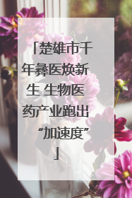 楚雄市千年彝医焕新生 生物医药产业跑出“加速度”