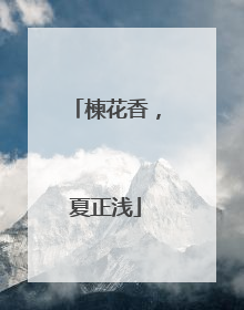 楝花香，夏正浅