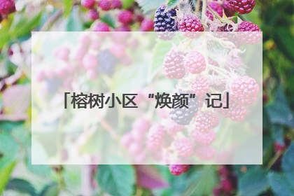 榕树小区“焕颜”记