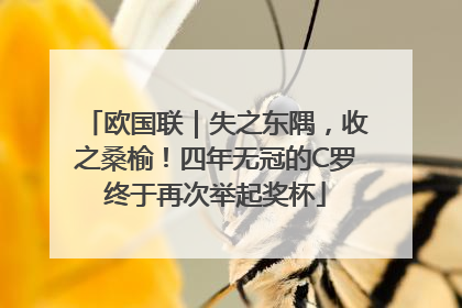 欧国联｜失之东隅，收之桑榆！四年无冠的C罗终于再次举起奖杯