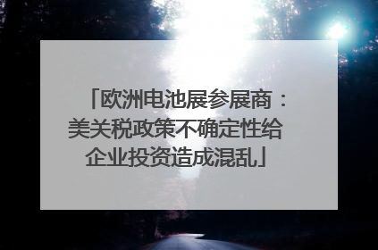 欧洲电池展参展商：美关税政策不确定性给企业投资造成混乱