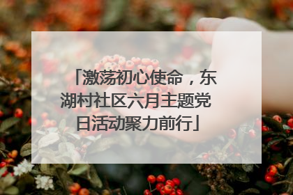 激荡初心使命，东湖村社区六月主题党日活动聚力前行