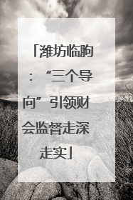潍坊临朐：“三个导向”引领财会监督走深走实