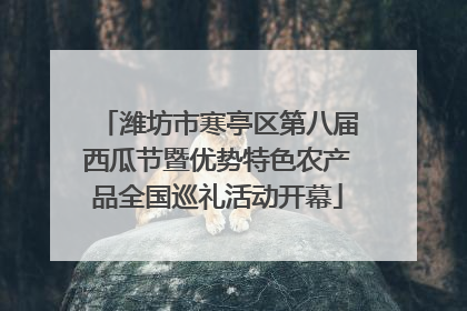 潍坊市寒亭区第八届西瓜节暨优势特色农产品全国巡礼活动开幕