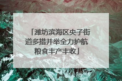 潍坊滨海区央子街道多措并举全力护航粮食丰产丰收