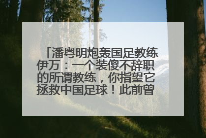 潘粤明炮轰国足教练伊万：一个装傻不辞职的所谓教练，你指望它拯救中国足球！此前曾多次发文评价国足