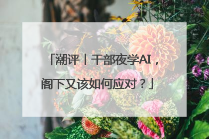潮评丨干部夜学AI，阁下又该如何应对？