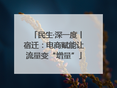 民生·深一度丨宿迁：电商赋能让流量变“增量”