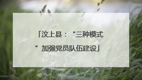 汶上县：“三种模式”加强党员队伍建设