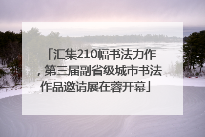 汇集210幅书法力作，第三届副省级城市书法作品邀请展在蓉开幕