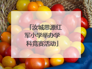 汝城思源红军小学举办学科竞赛活动