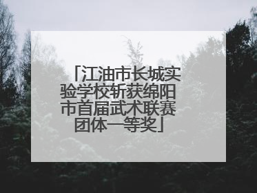 江油市长城实验学校斩获绵阳市首届武术联赛团体一等奖