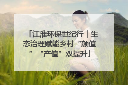 江淮环保世纪行｜生态治理赋能乡村“颜值”“产值”双提升
