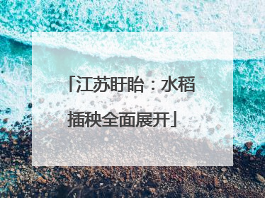 江苏盱眙：水稻插秧全面展开