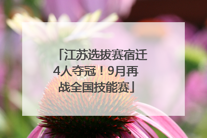 江苏选拔赛宿迁4人夺冠！9月再战全国技能赛