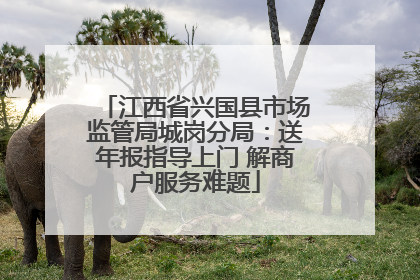 江西省兴国县市场监管局城岗分局：送年报指导上门 解商户服务难题
