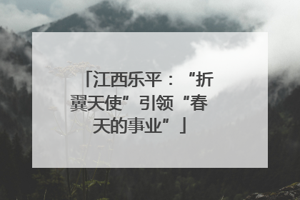 江西乐平：“折翼天使”引领“春天的事业”