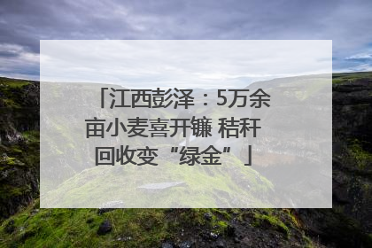 江西彭泽：5万余亩小麦喜开镰 秸秆回收变“绿金”