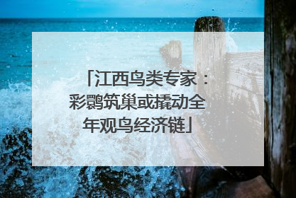 江西鸟类专家：彩鹮筑巢或撬动全年观鸟经济链