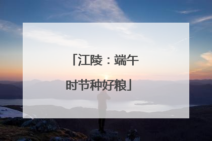 江陵：端午时节种好粮