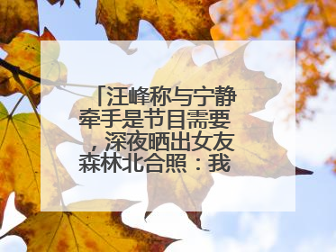 汪峰称与宁静牵手是节目需要，深夜晒出女友森林北合照：我俩好着呢！