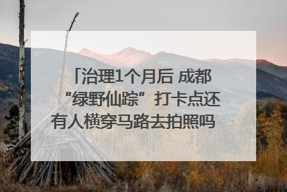 治理1个月后 成都“绿野仙踪”打卡点还有人横穿马路去拍照吗？｜民情瞭望