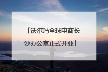 沃尔玛全球电商长沙办公室正式开业