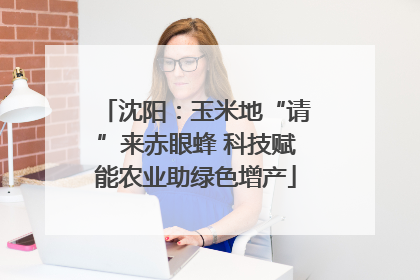 沈阳：玉米地“请”来赤眼蜂 科技赋能农业助绿色增产