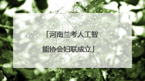 河南兰考人工智能协会妇联成立