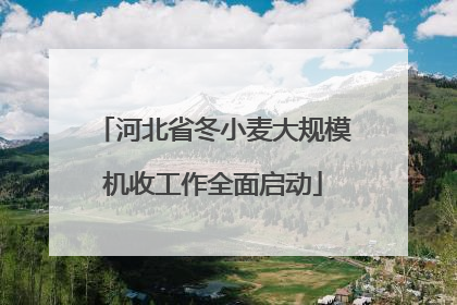 河北省冬小麦大规模机收工作全面启动