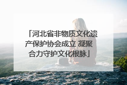 河北省非物质文化遗产保护协会成立 凝聚合力守护文化根脉