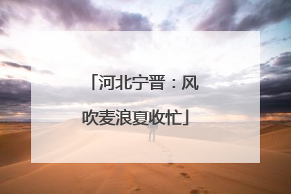 河北宁晋：风吹麦浪夏收忙