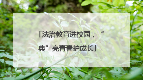 法治教育进校园，“典”亮青春护成长