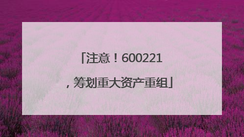 注意！600221，筹划重大资产重组